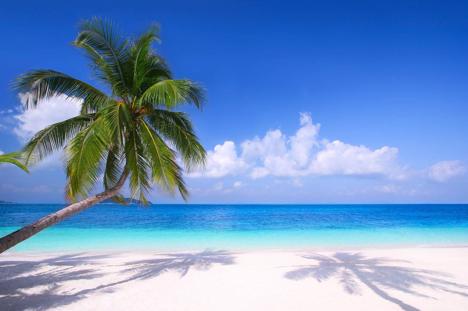 Sandee - HomePage / Tokelau