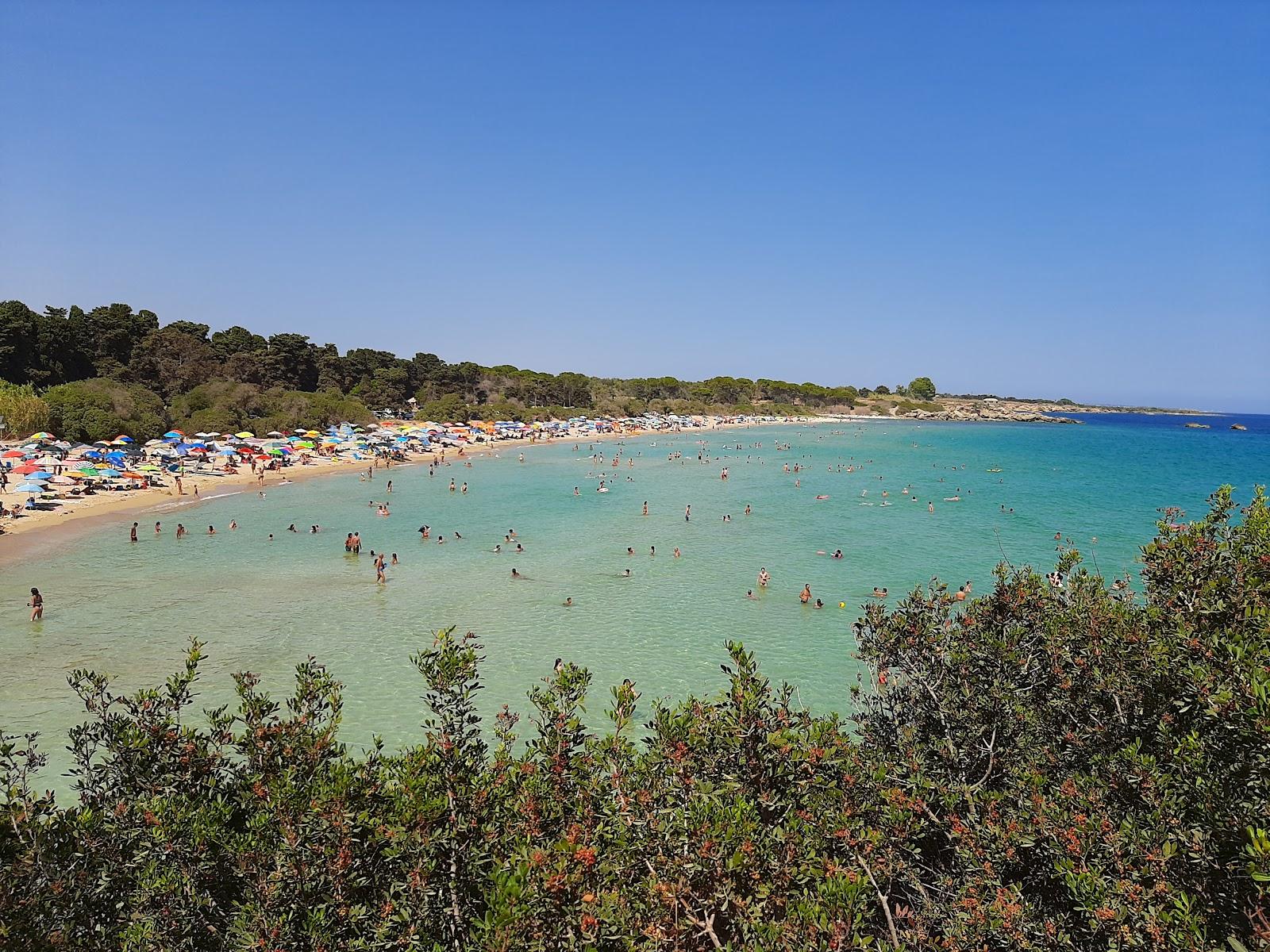 Sandee Spiaggia Del Gelsomineto