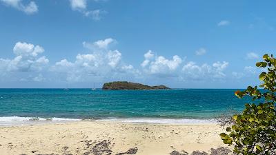 Sandee - Chintapandu Beach