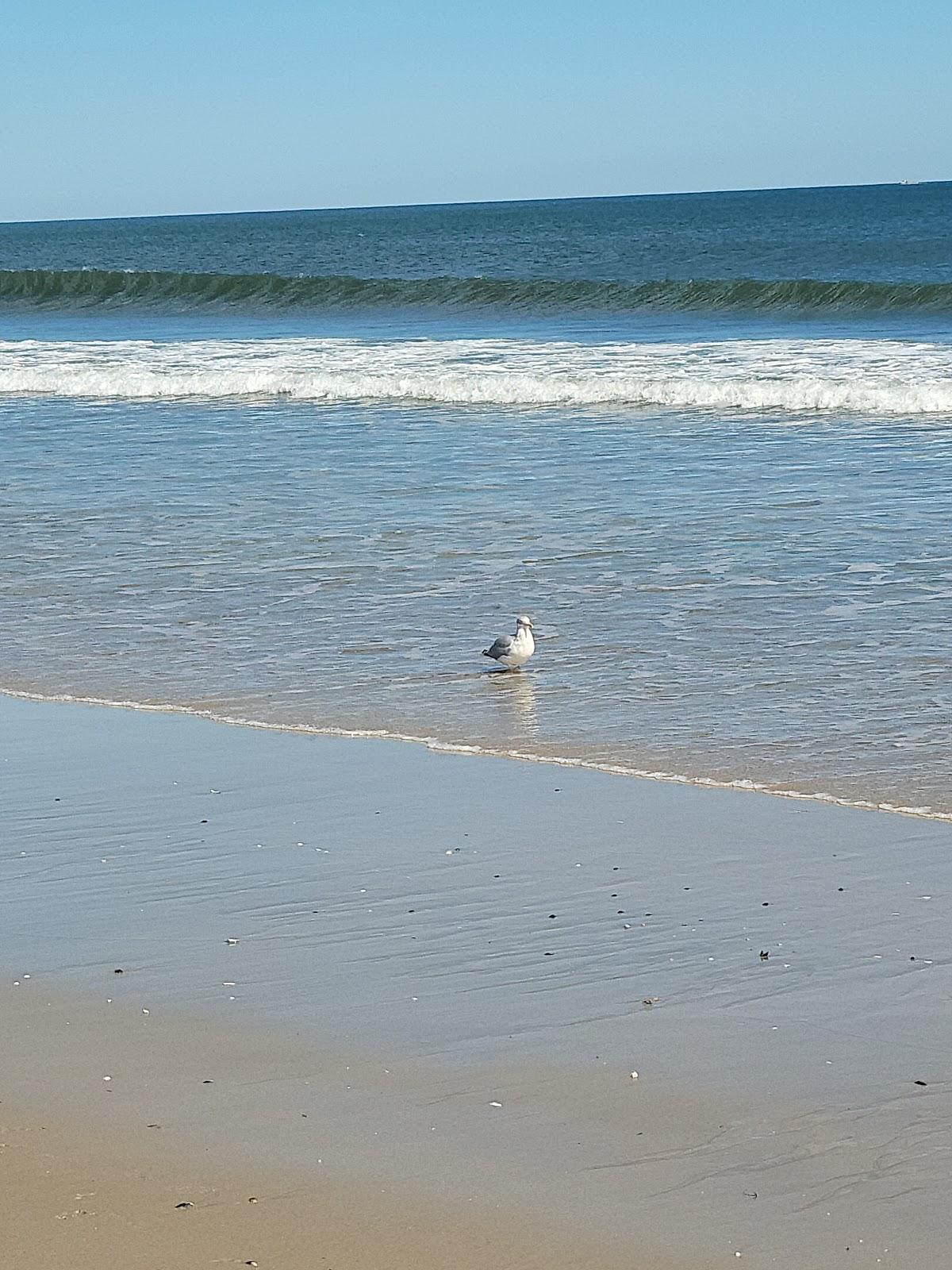 Sandee - Spring Lake Beach