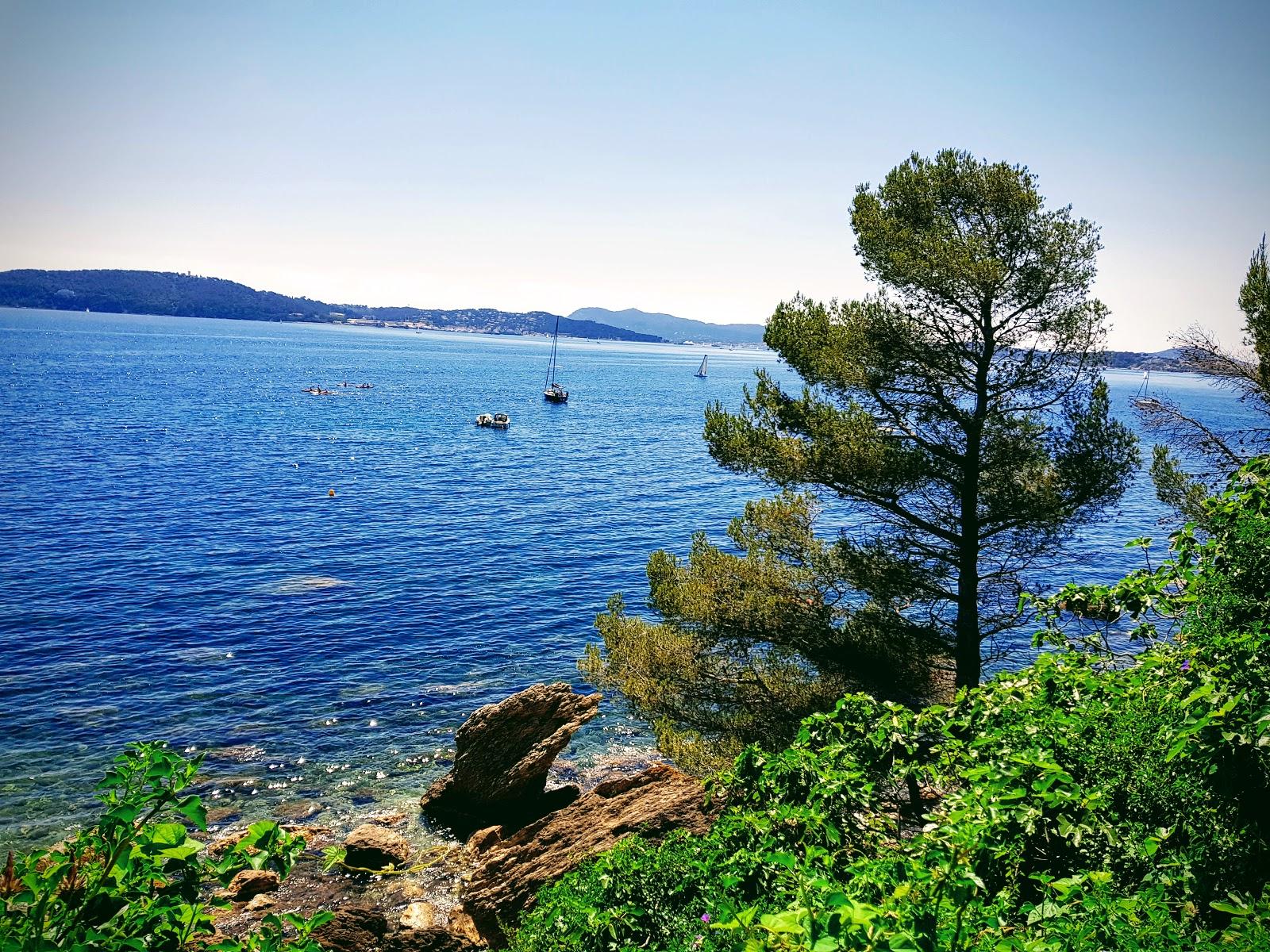 Sandee Plage Du Fort Cap Brun
 Photo