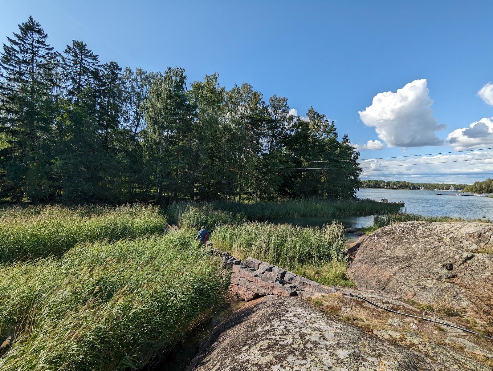 Sandee Iso Vasikkasaari Etelainen Vierasvenelaituri Photo