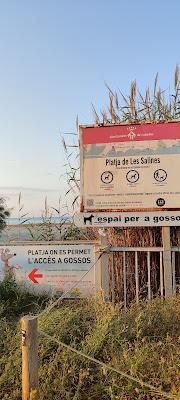 Sandee - Platja De Les Salines