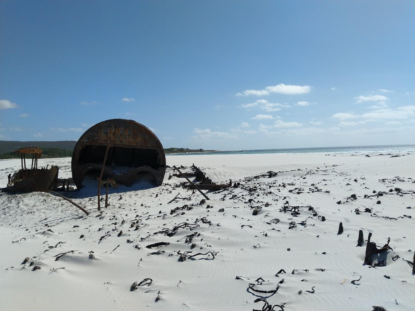 Sandee Wreck Of The Kakapo Beach Photo