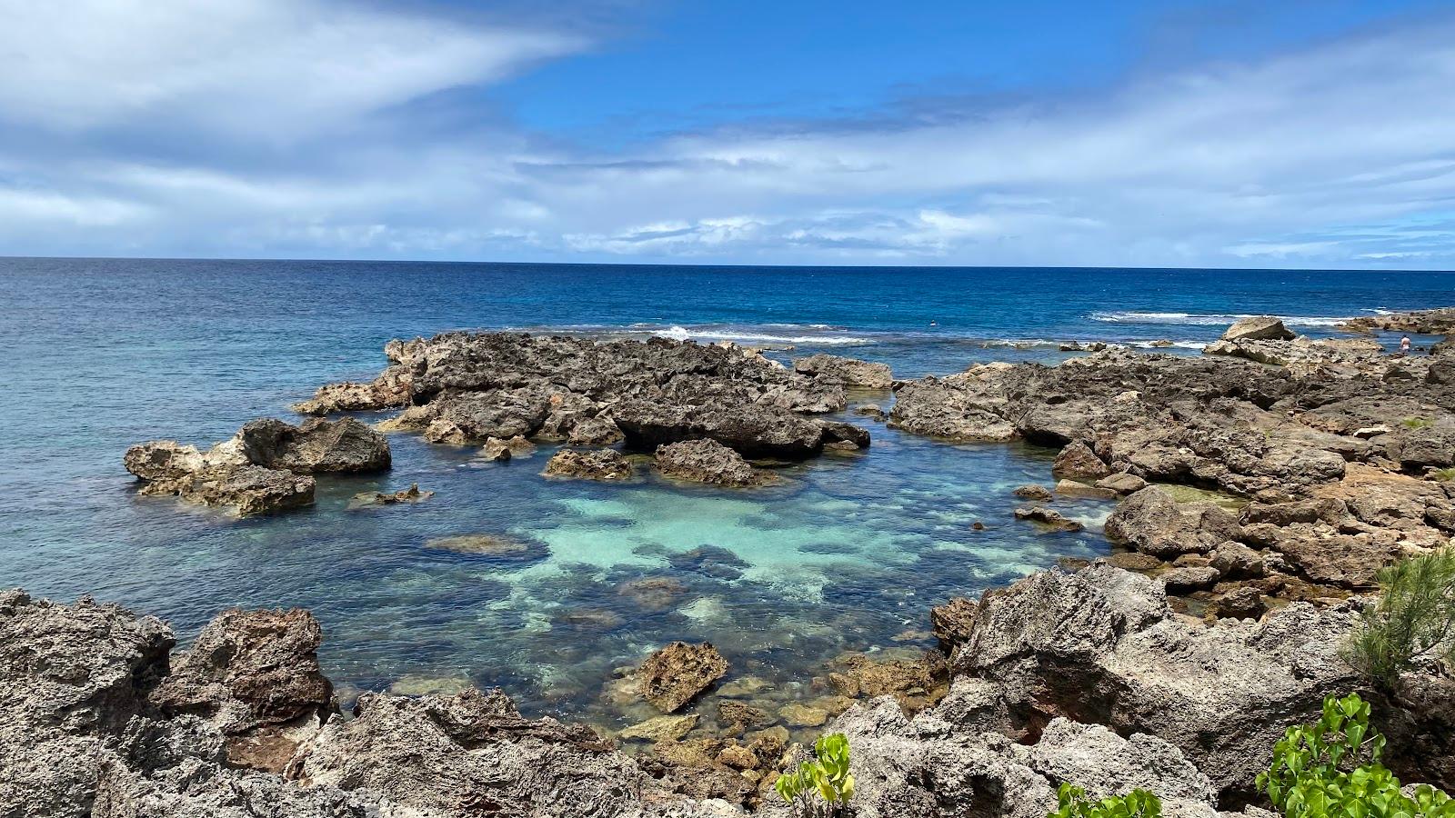 Sandee - Shark's Cove Beach