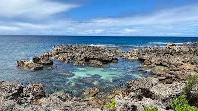 Sandee - Shark's Cove Beach