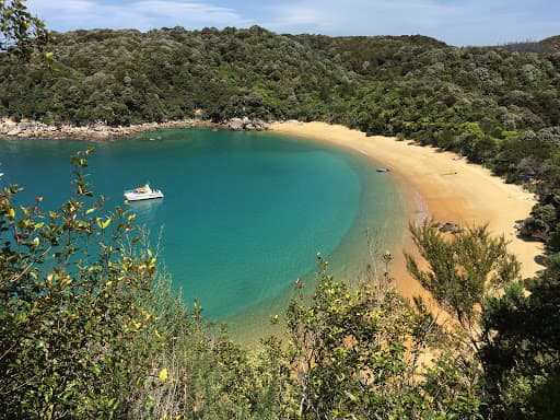 Sandee Te Pukatea Campsite Photo