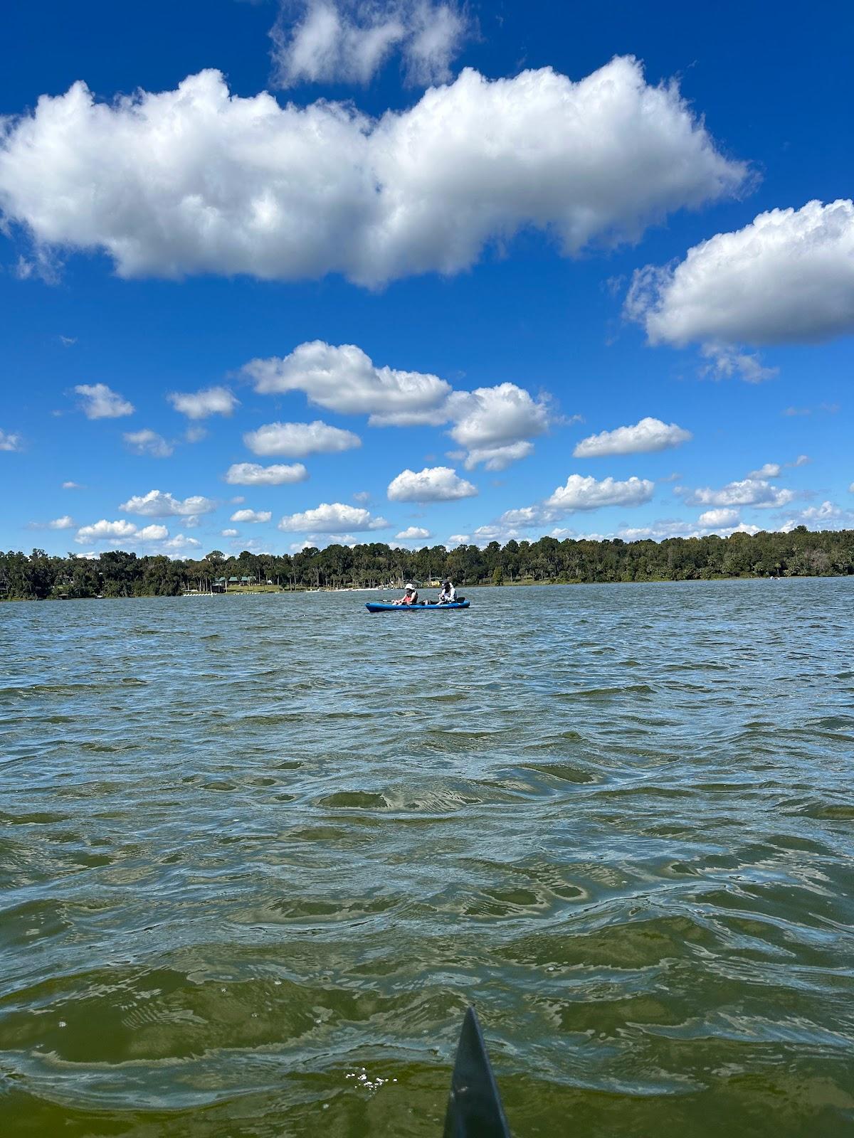 Sandee - Lake Wauburg North Shore Beach