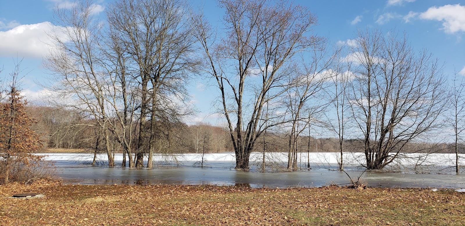 Sandee - Chestnut Run Swim Beach At Shenango River