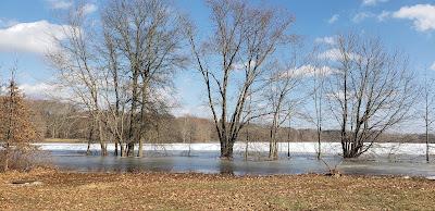 Sandee - Chestnut Run Swim Beach At Shenango River