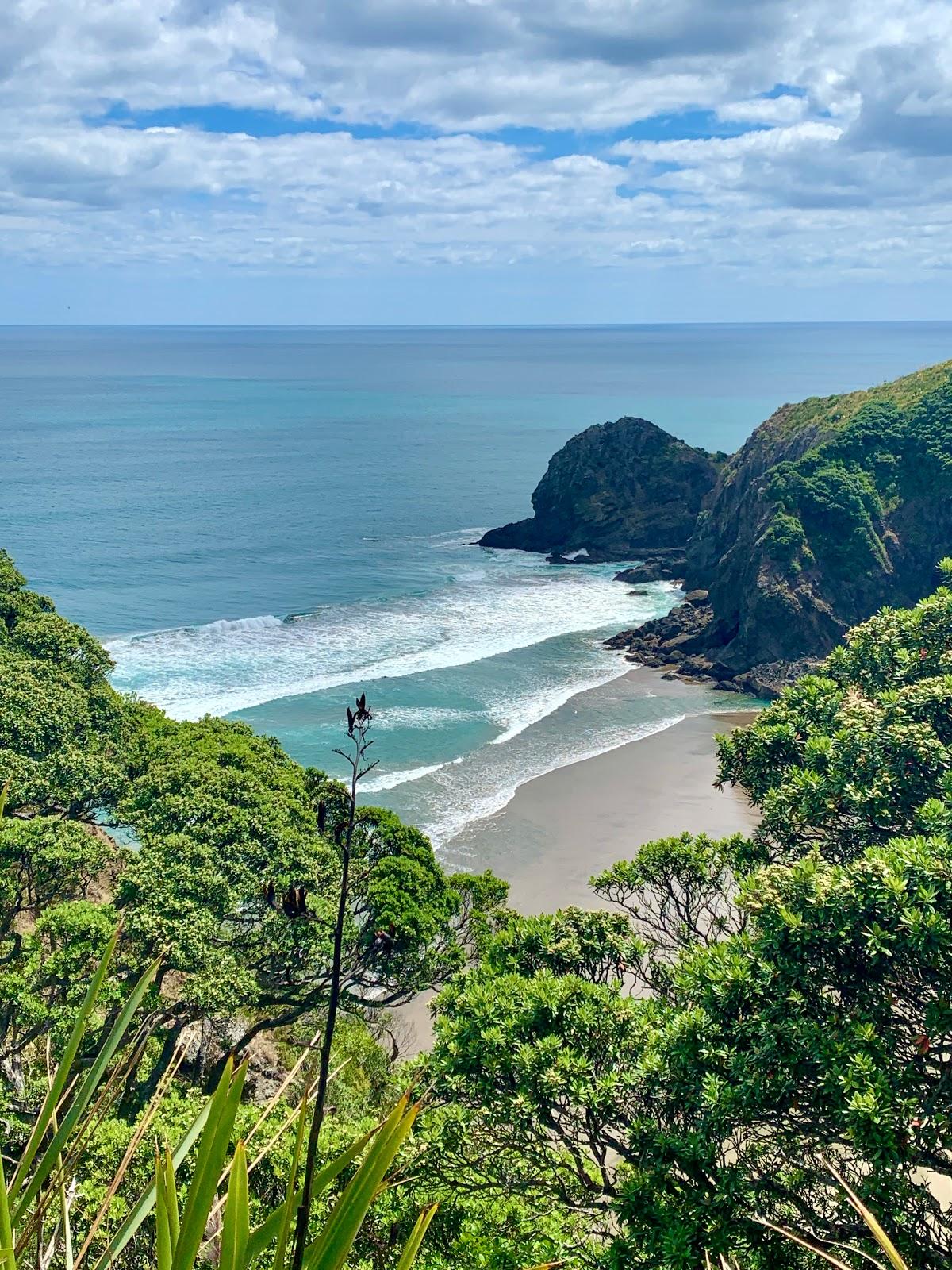 Sandee Whites Beach