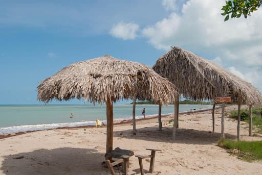 Sandee Coccoloba Beach Guajira Photo