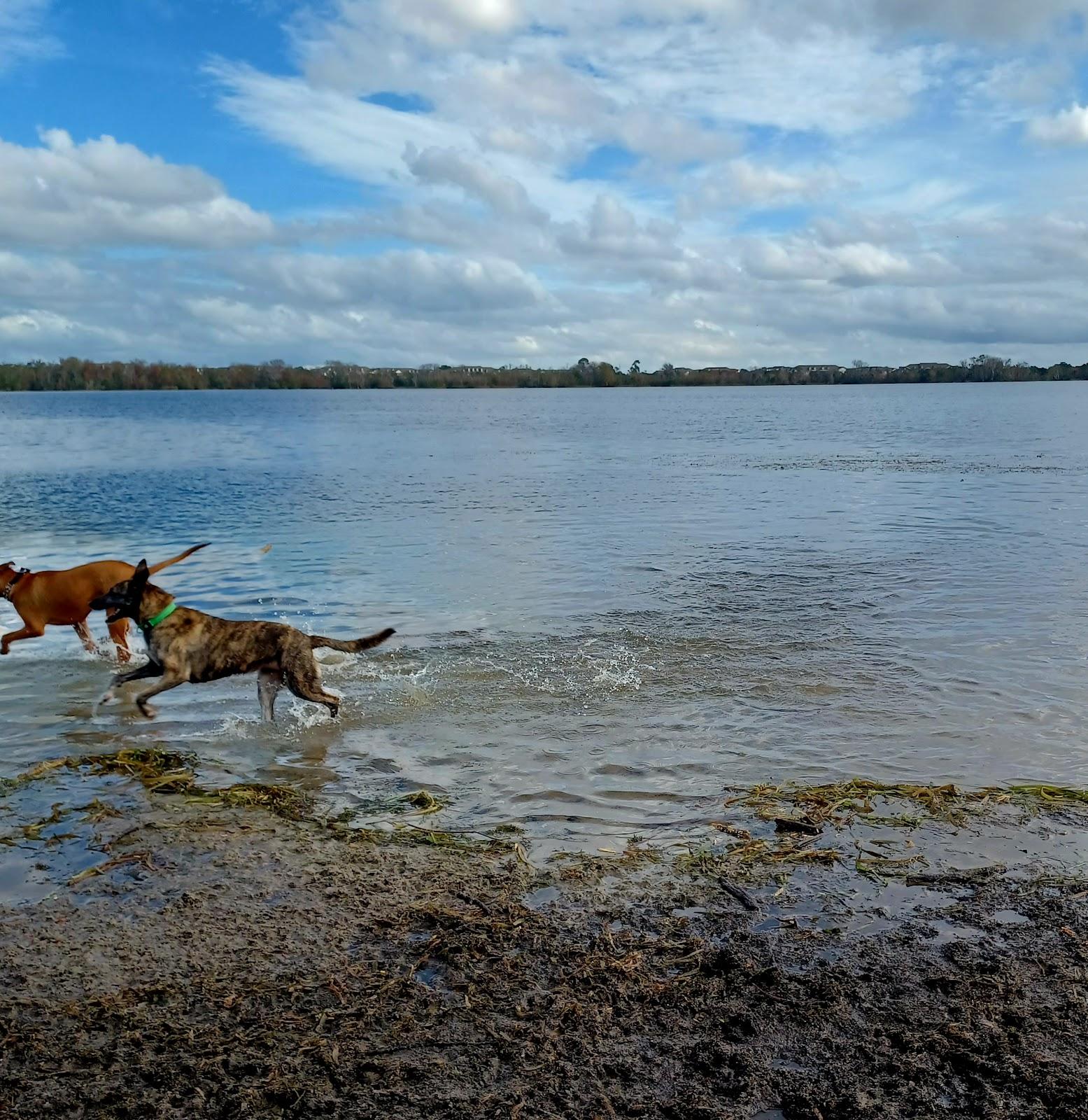 Sandee - Lake Baldwin Park