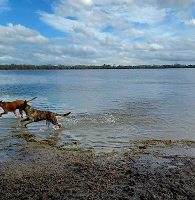 Sandee - Lake Baldwin Park