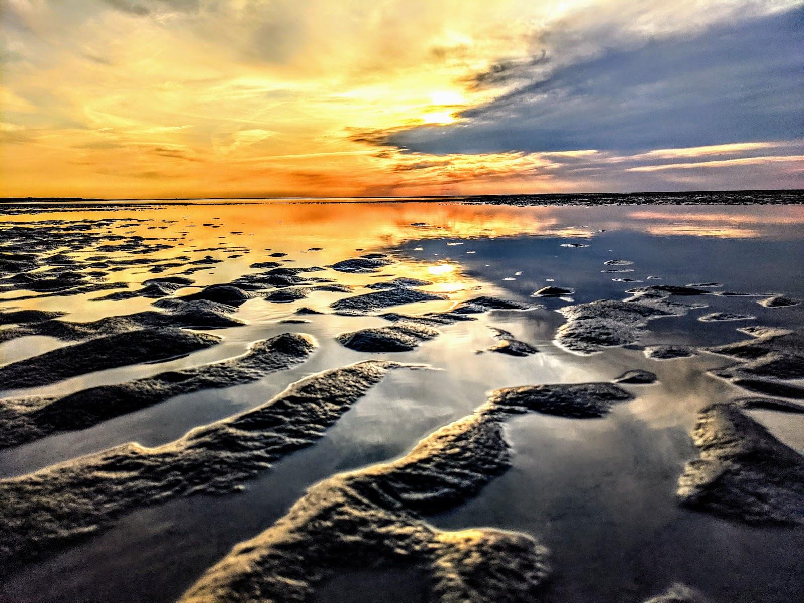 Sandee Brewster Dunes