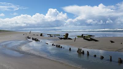 Sandee - Wreck Of The Peter Iredale