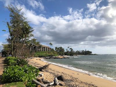 Sandee - Wailua Beach