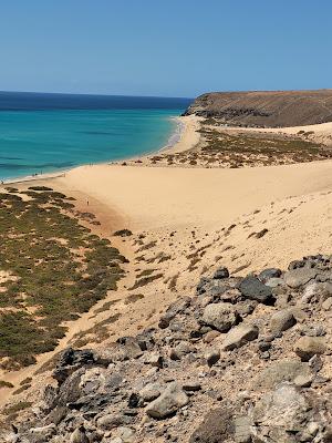 Sandee - Sotavento Beach