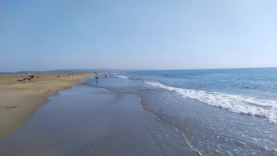 Sandee - Plage de la Vieille Nouvelle