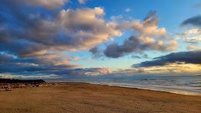 Sandee - Ziolkouski Beach Park