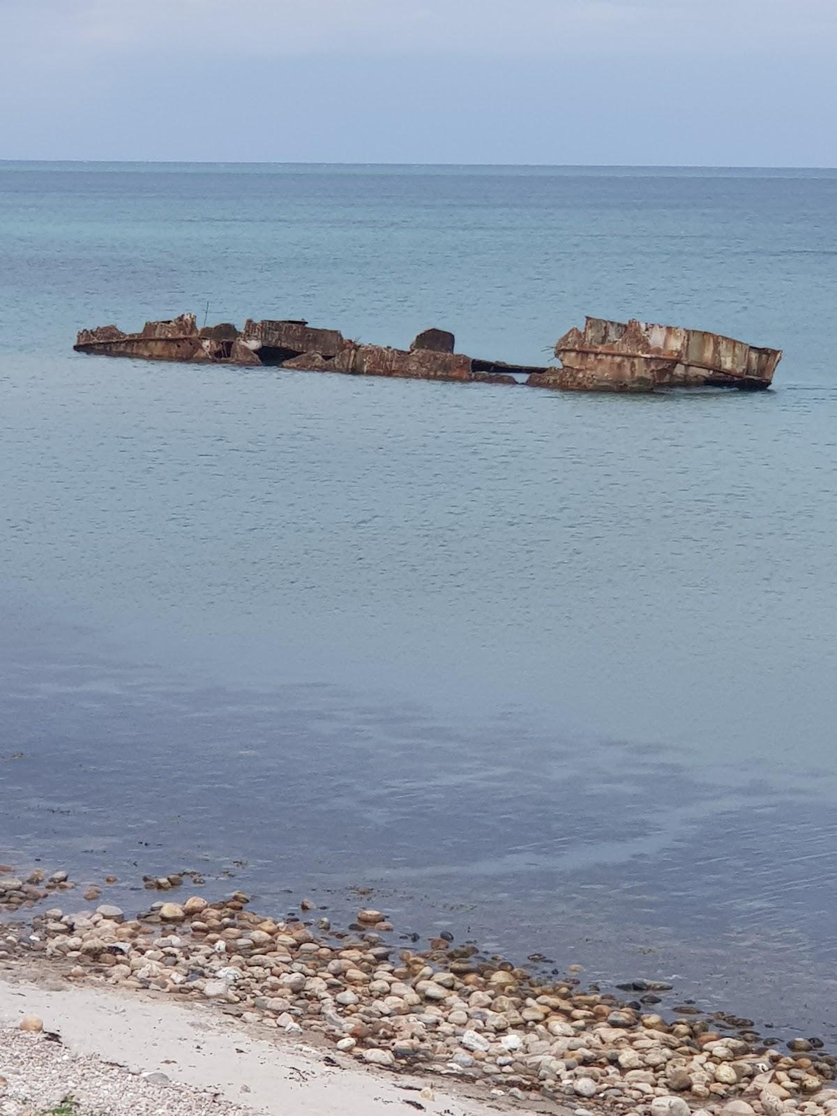 Sandee The Cement Ship 1948