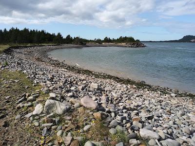 Sandee - Bayocean Peninsula Park