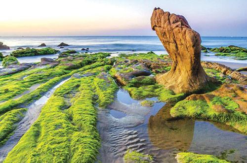 Sandee Seven Colors Stone Beach - Co Thach