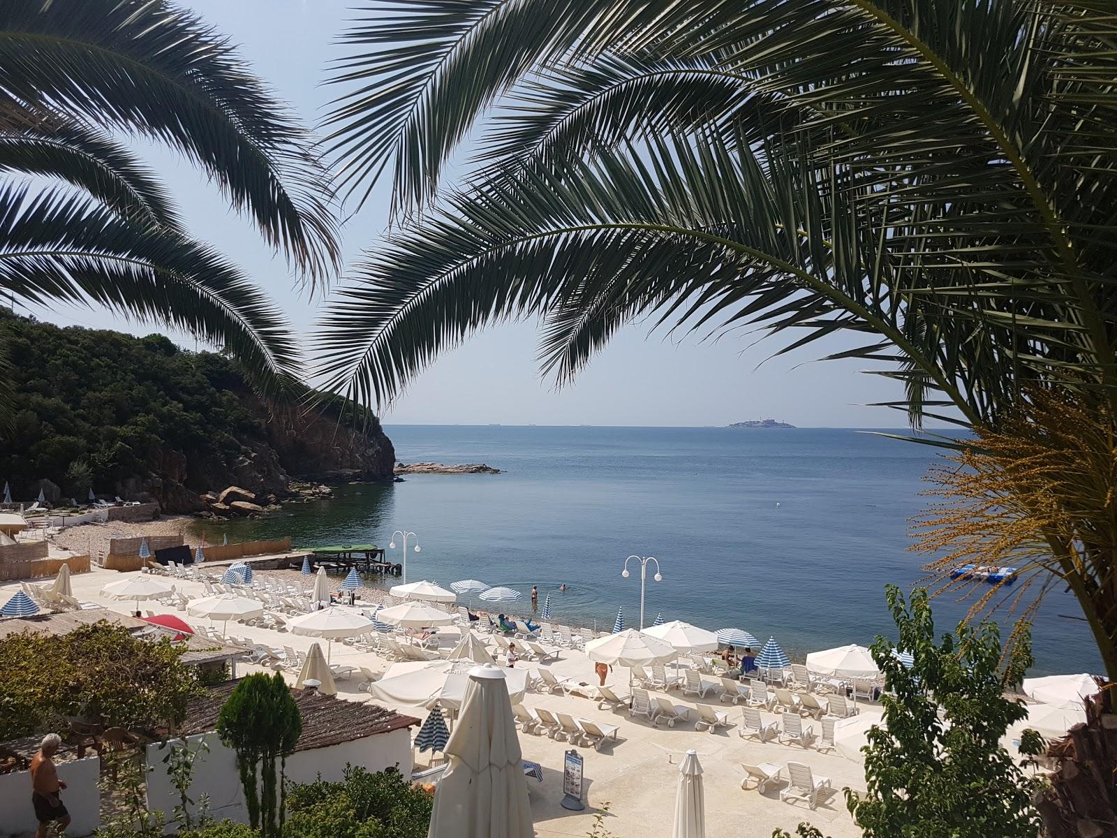 Sandee Kamo's Beach Club