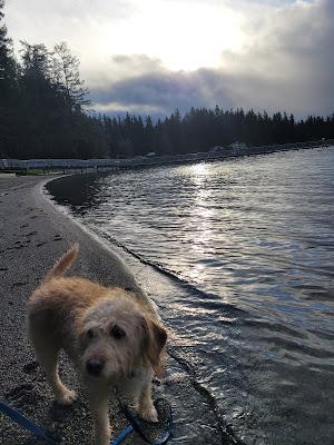 Sandee - Wenberg County Park