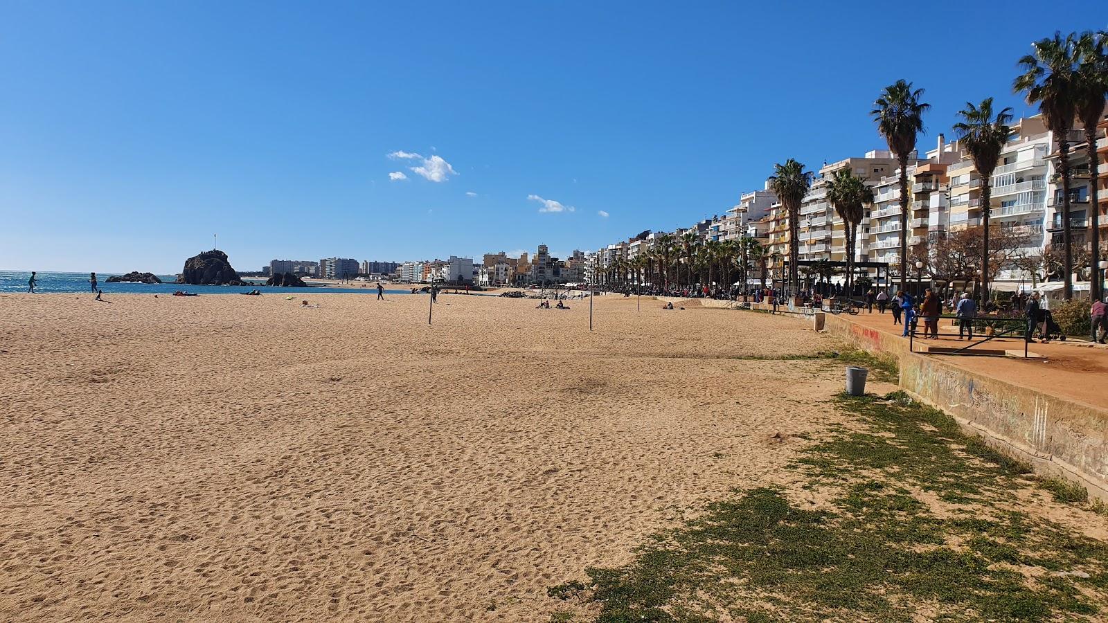 Sandee - Beach Blanes