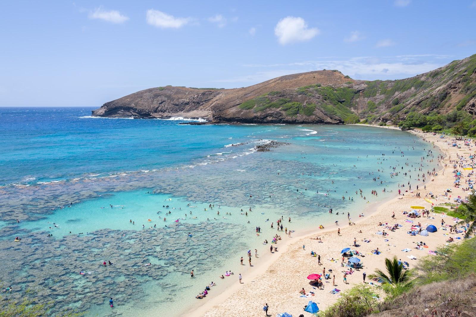 Sandee Hanauma Bay Nature Preserve