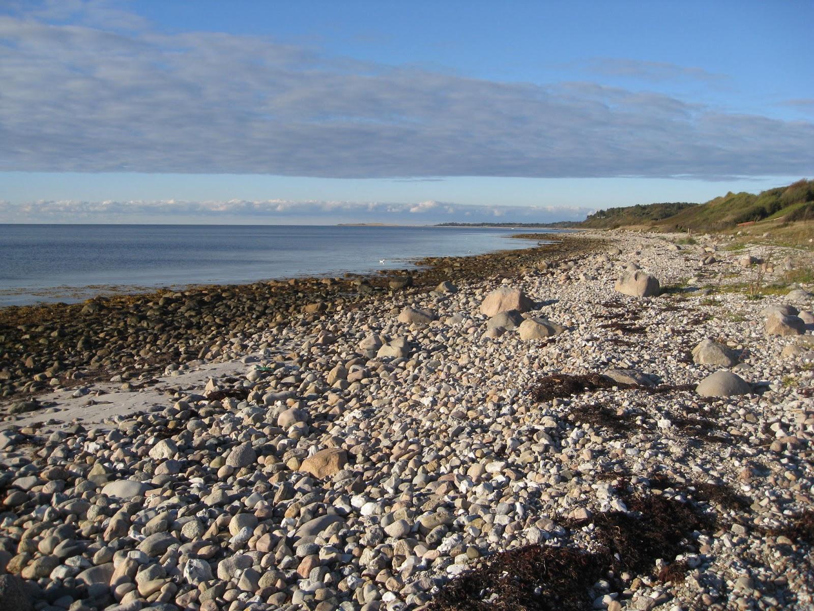 Sandee Offentlig Strand V/Vraget
