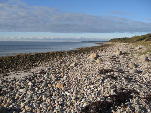 Sandee Offentlig Strand V/Vraget Photo