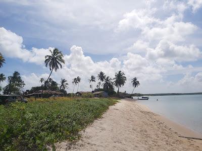 Sandee - Praia Da Barra De Mamanguape