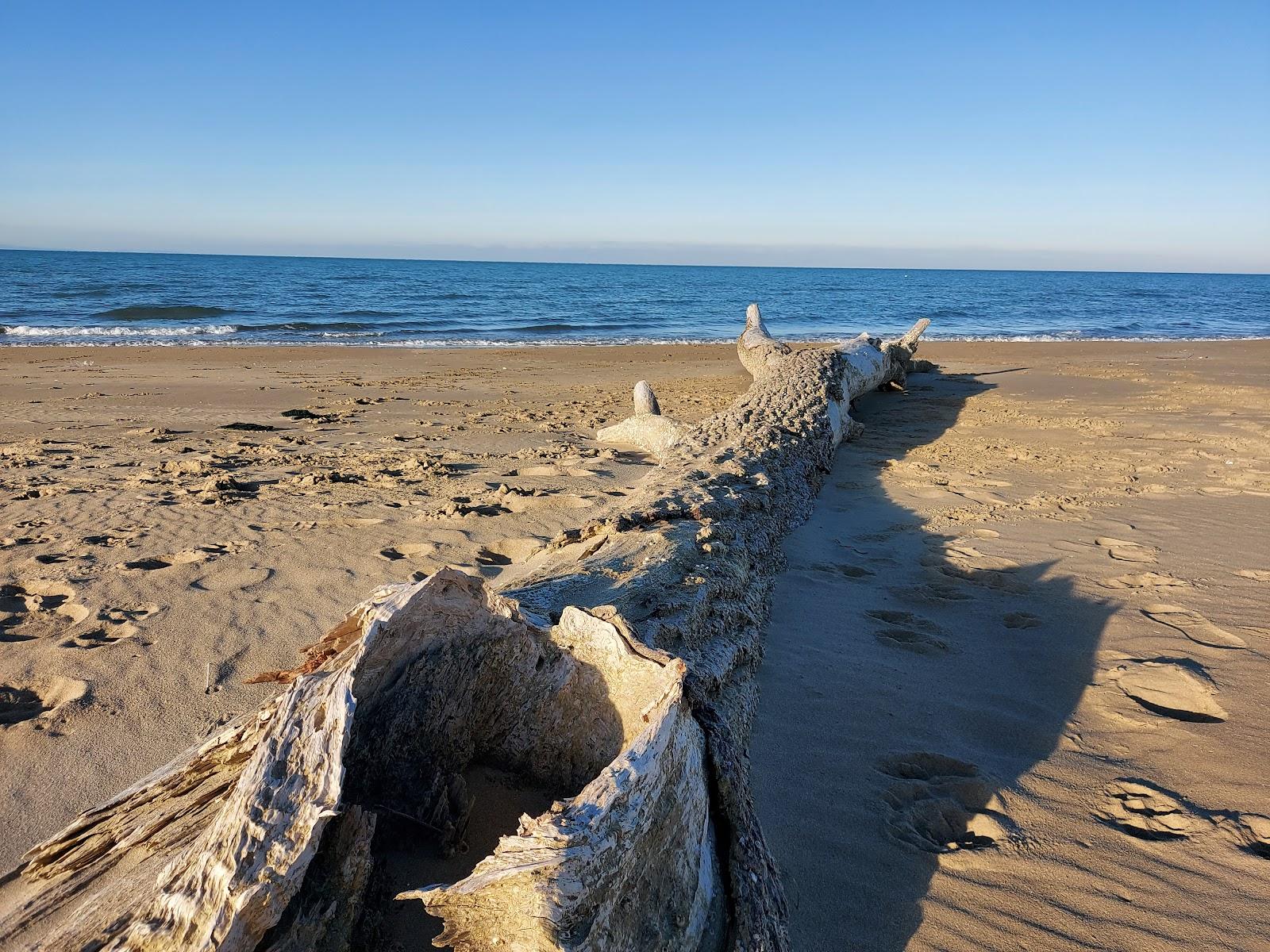 Sandee Spiaggia Di Tammaricella