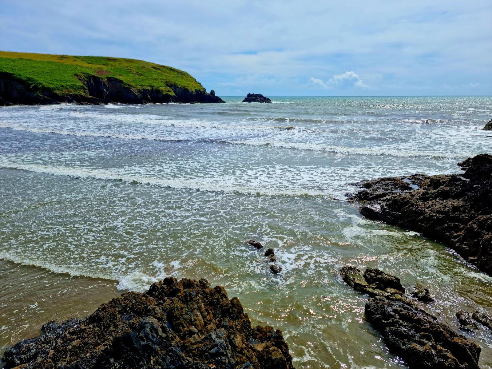 Sandee Stradbally Cove Photo