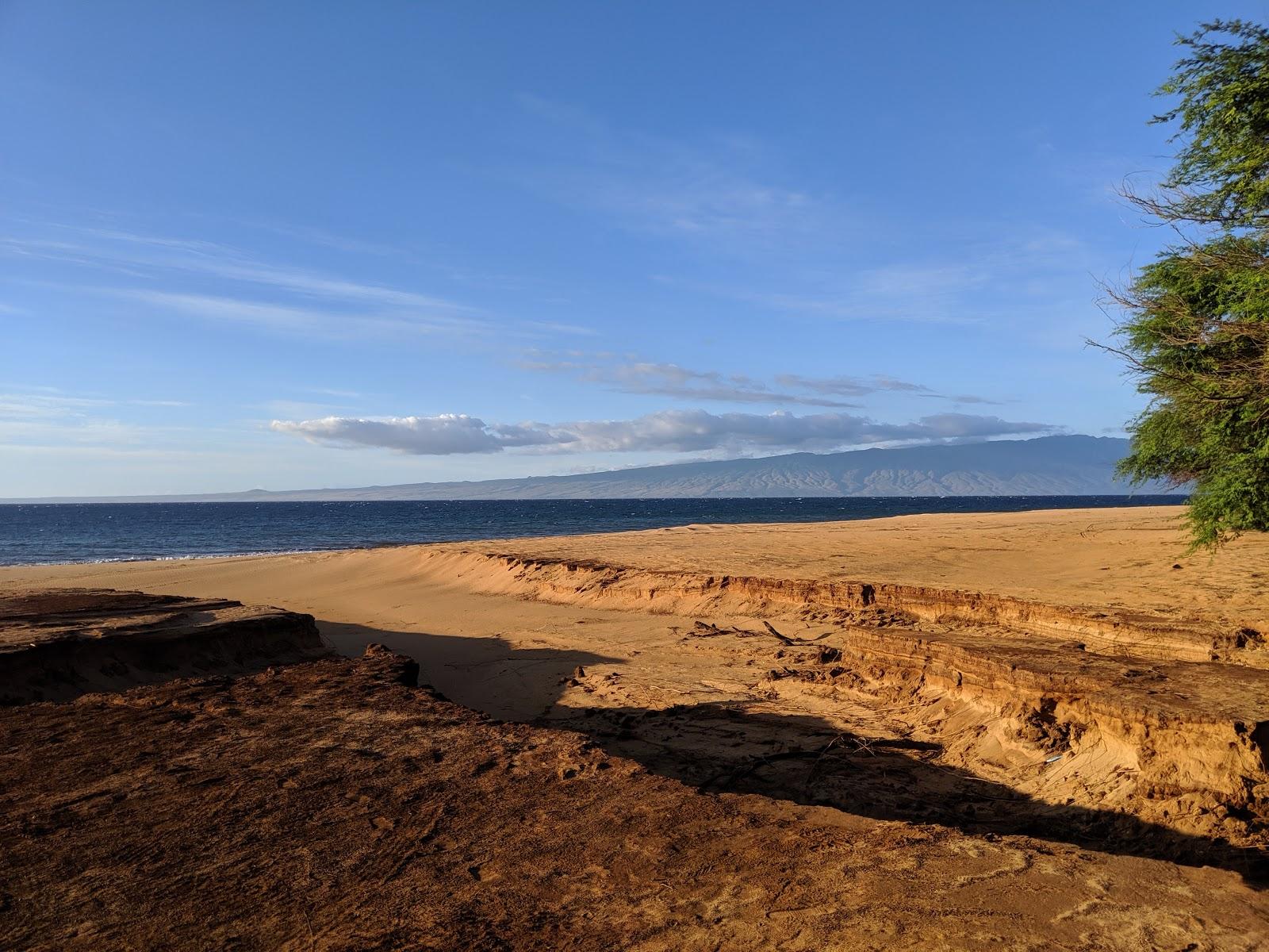 Sandee - Polihua Beach