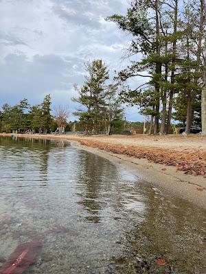 Sandee - Moultonborough Town Beach