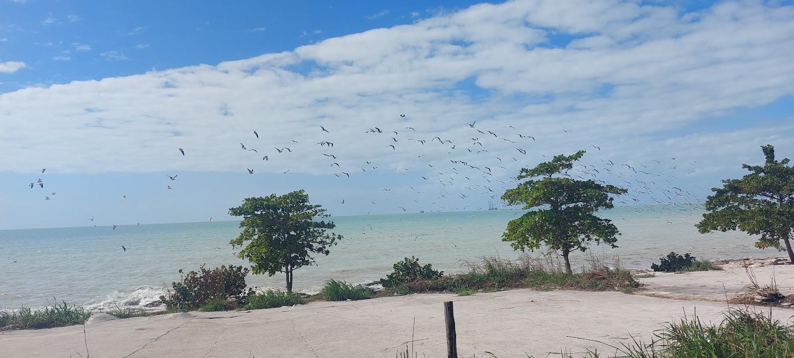 Sandee Siho Playa