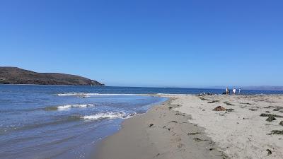 Sandee - Lawson's Landing Beach