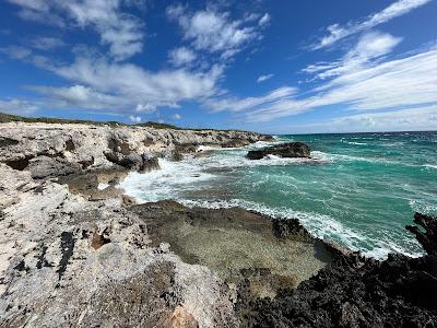 Sandee - Snow Bay Beach