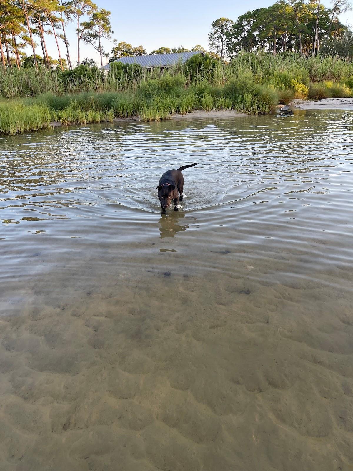 Sandee - Liza Jackson Park Beach