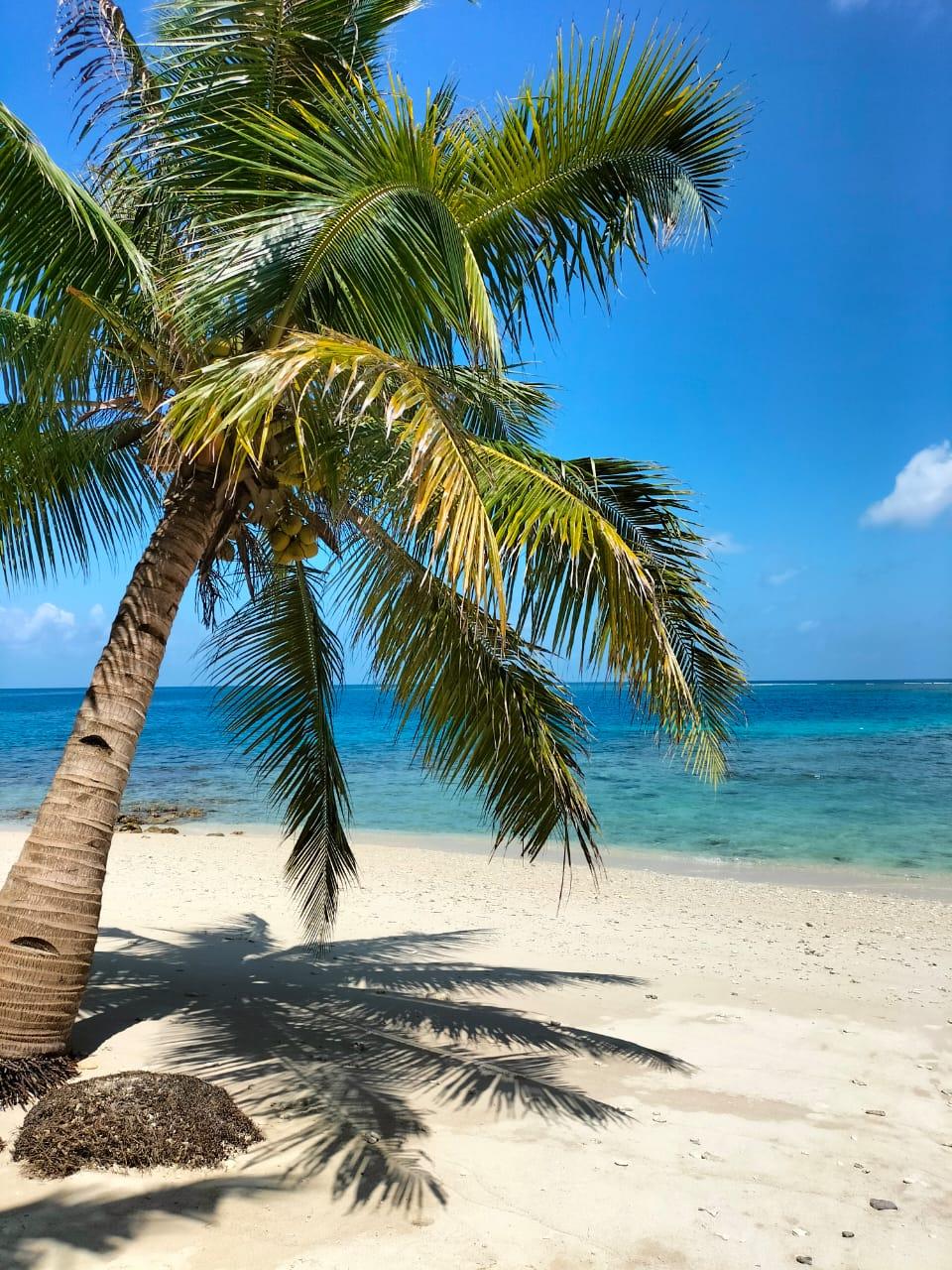 Sandee Hidden Bay Resort Mentawais