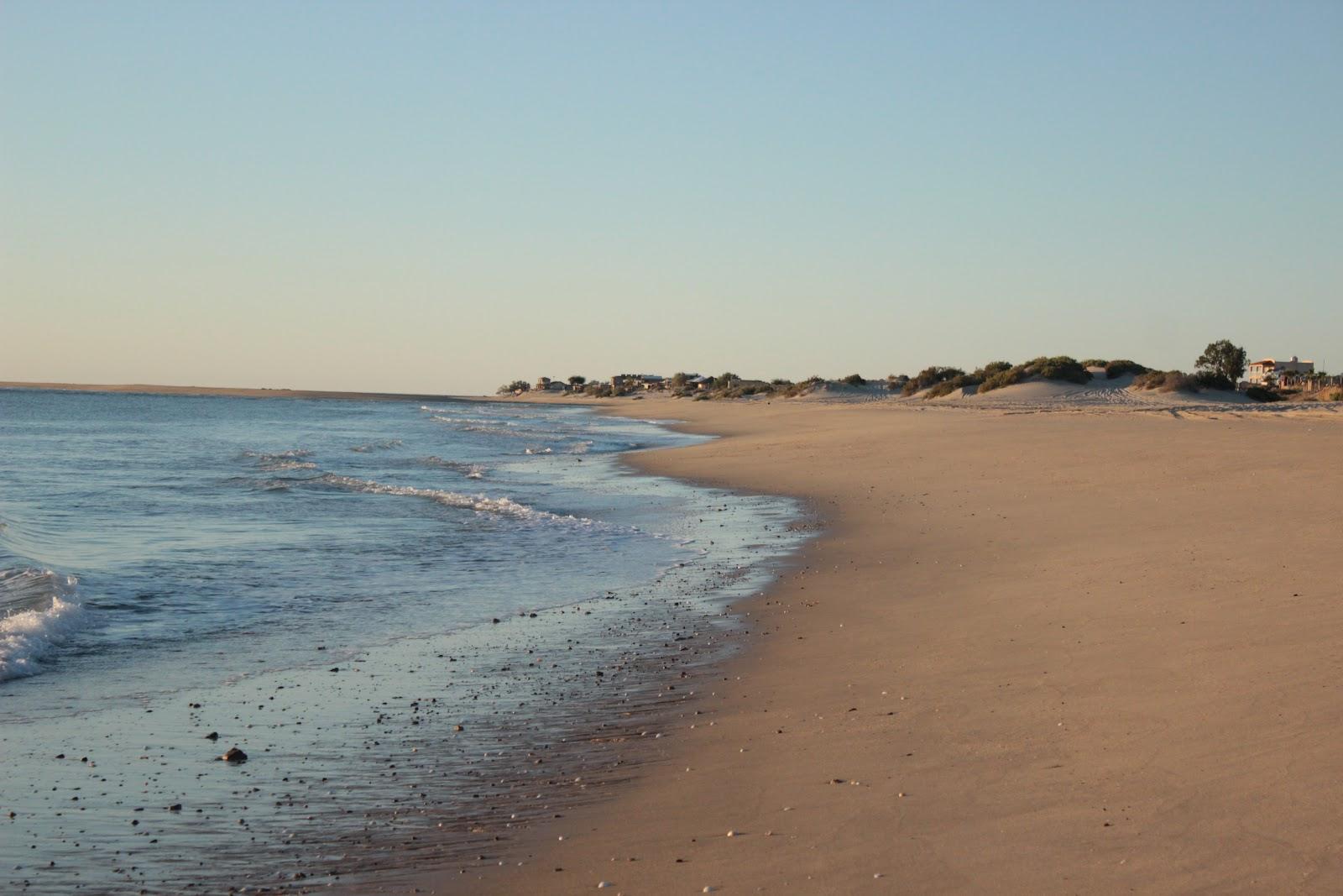 Sandee Sahuaro Shores Photo