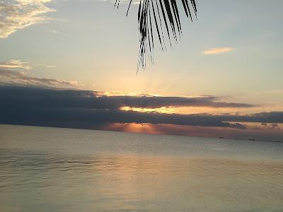 Sandee - Seine Bight Beach