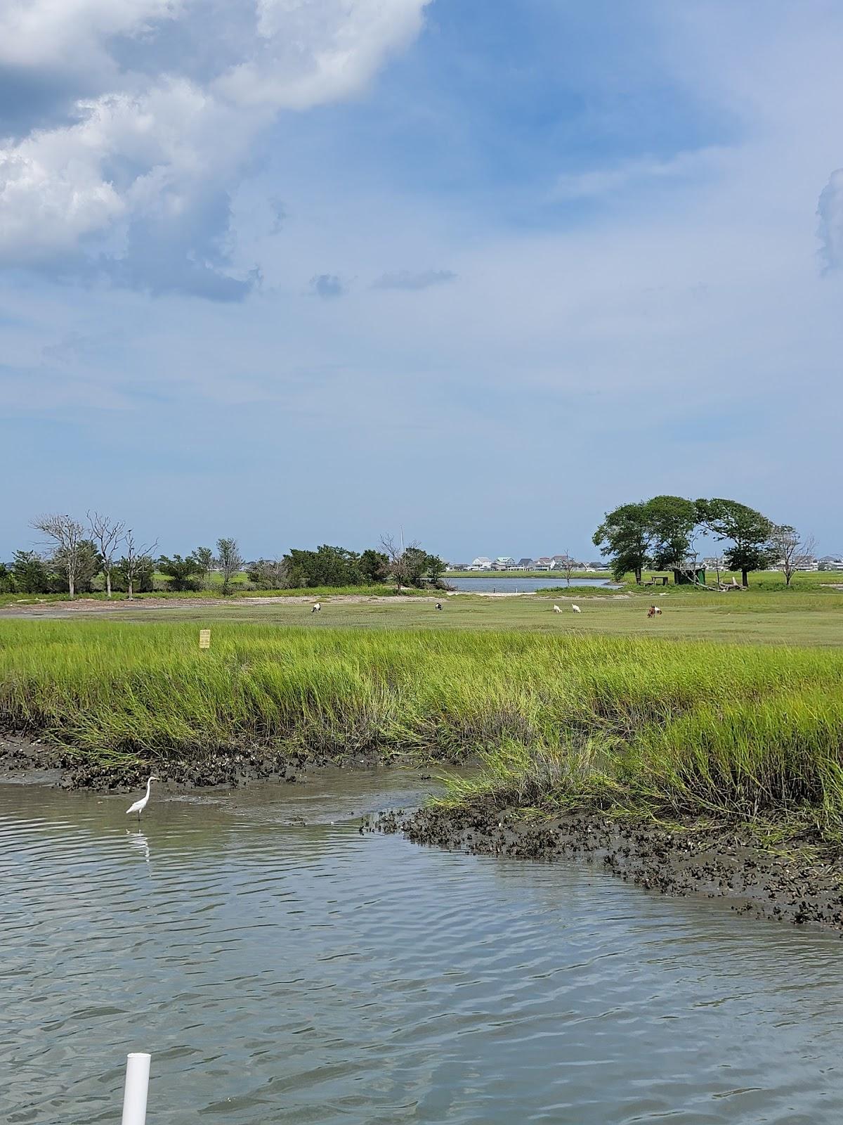 Sandee - Cane Inlet