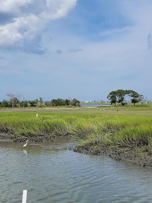 Sandee - Cane Inlet