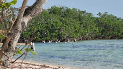 Sandee - Geiger Beach