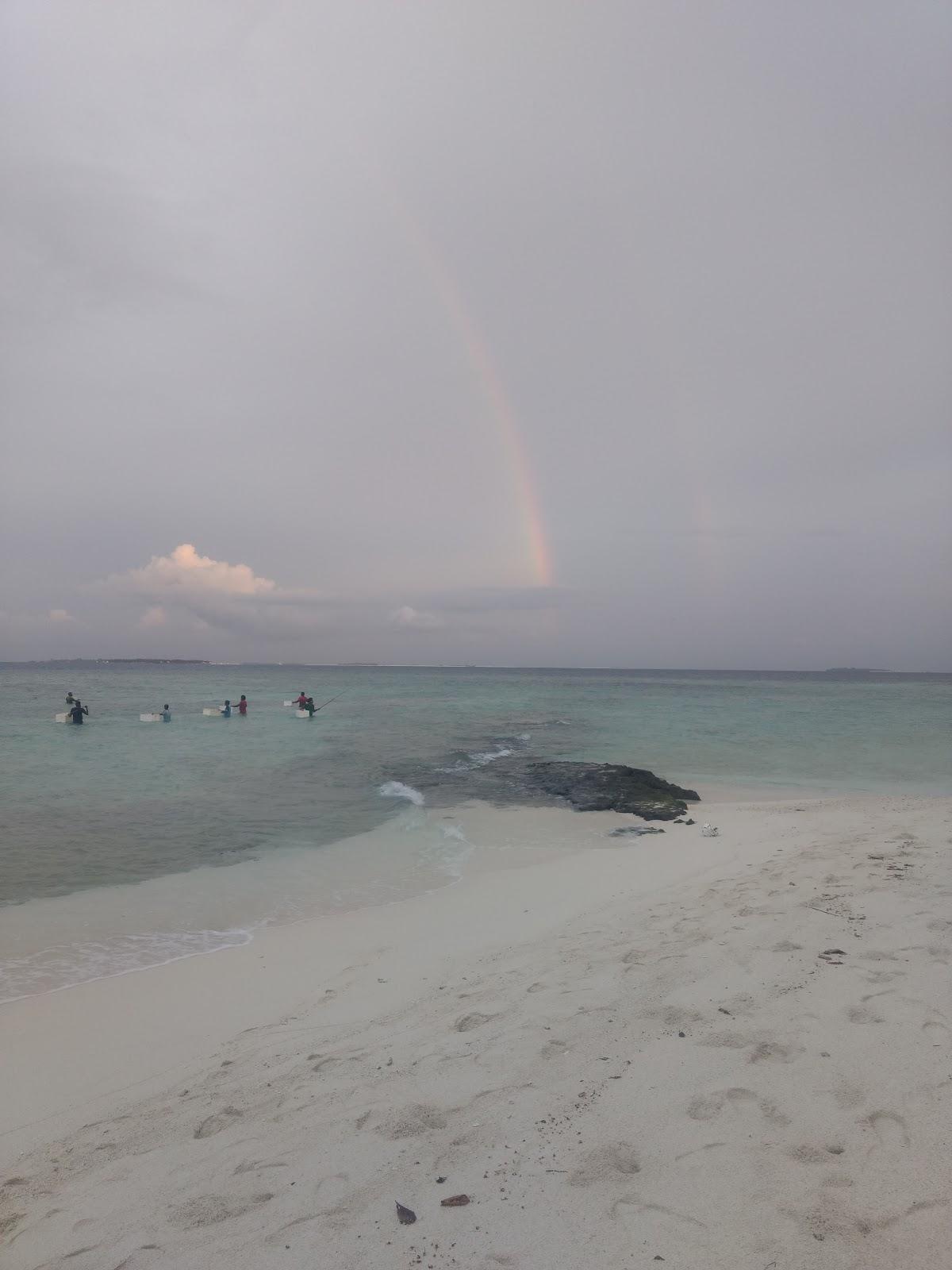 Sandee Ne Beach