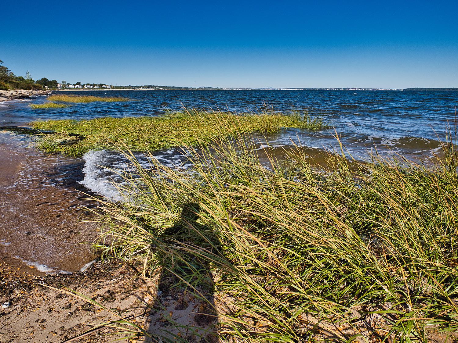 Sandee - Seidler Beach